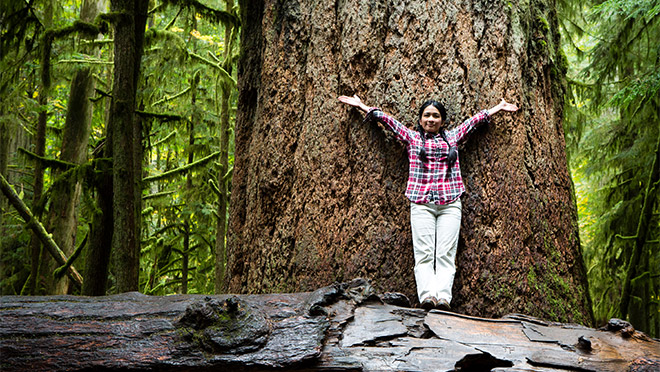 Hiker poses in front of a giant Douglas fir at Cathedral Grove at MacMillan Provincial Park
