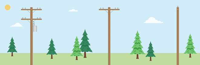 Three types of planting zones for distribution lines Three types of planting zones for distribution lines