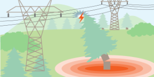 tree falling on transmission line