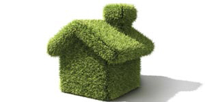 Illustration of a house covered in grass