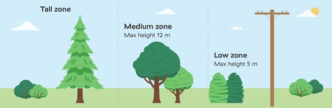 Three types of planting zones for distribution lines Three types of planting zones for distribution lines