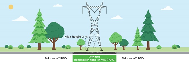 Two types planting zones for transmission lines Two types planting zones for transmission lines