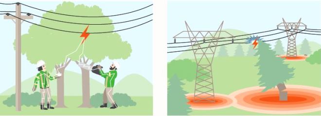 Trees and power lines did-you-know illustration with text