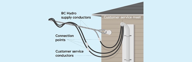 Three types of planting zones for distribution lines Three types of planting zones for distribution lines