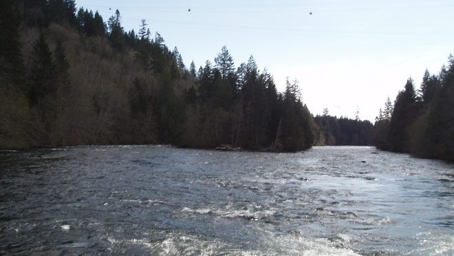 john-hart-full-width-nature.jpg john-hart-full-width-nature.jpg