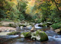 power-smart-forum-theme-nature.jpg power-smart-forum-theme-nature.jpg