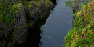 River lined with mossy rocks