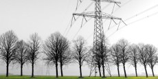 trees-transmission-lines-in-fog-object.jpg