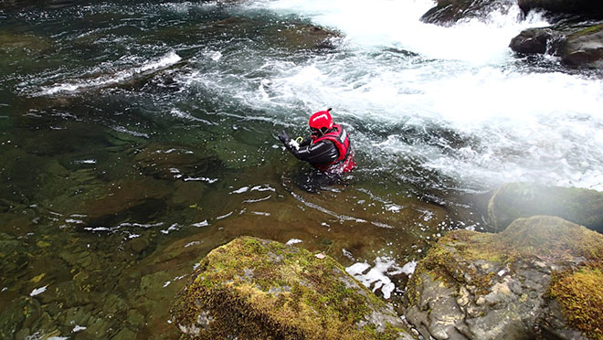 Image of contractor in snorkelling gear counting fish at Elk Falls Canyon