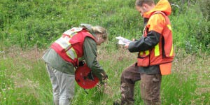Field workers near Site C at Fort St. John