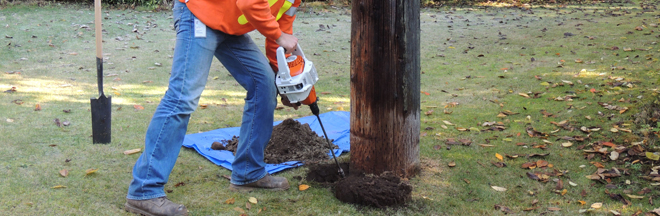 BC Hydro employee maintaining wood poles BC Hydro employee maintaining wood poles