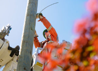 A BC Hydro Power Line technician working on a power line