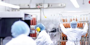 Workers in a food processing plant