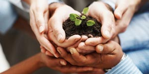 A group of hands holding a plant growing in a pile of soil