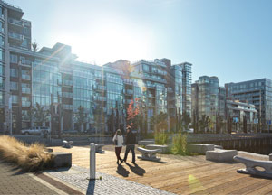 New waterfront sustainable community buildings with sky and lens flare New waterfront sustainable community buildings with sky and lens flare