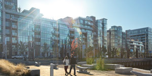 New waterfront sustainable community buildings with sky and lens flare