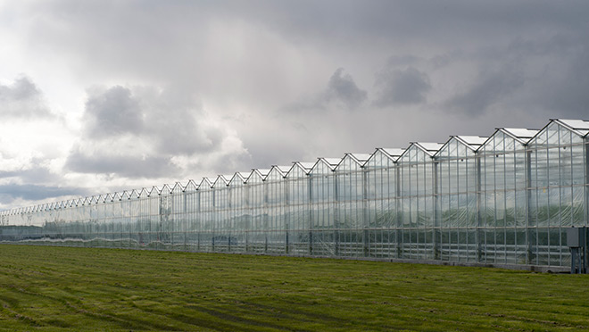 Venlo-style greenhouses in British Columbia, Canada