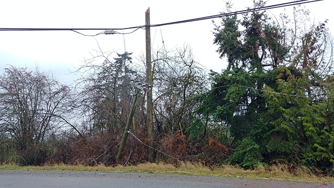 Image of broken wooden power pole from a storm