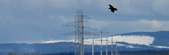 dcat-transmission-poles-winter-eagle-660x216.jpg dcat-transmission-poles-winter-eagle-660x216.jpg