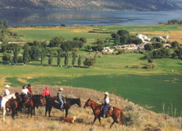 View of horses and the river in Merritt View of horses and the river in Merritt