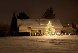 Holiday LEDs, timers help you save