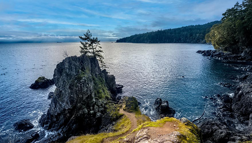 A coastal trail in the scenic East Sooke Regional Park, stunning waterscape in the background