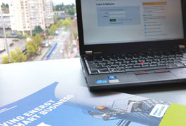 Track your business energy usage online