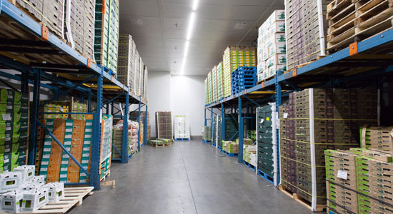 Oppenheimer Group saves $9,400 a year with waterproof LED lighting