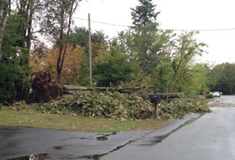 The unseen costs of power outages