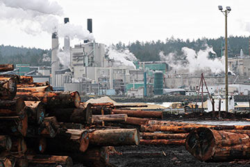Pulp mill squeezes big savings from BC Hydro incentives