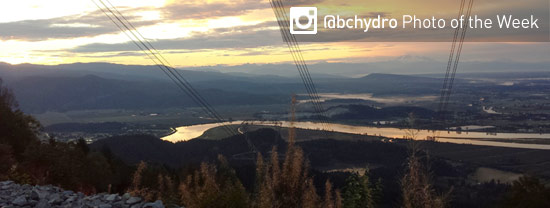 Photo of the Week