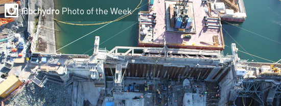 Photo of the Week