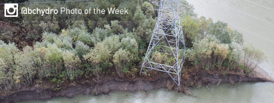 Photo of the Week