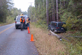 Use our tips to stay safe around fallen power lines