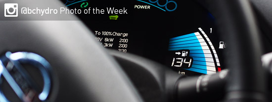 Photo of the Week