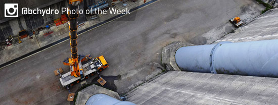 Photo of the Week