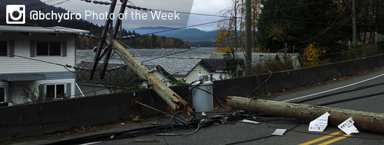 Photo of the Week