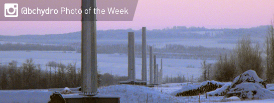 Photo of the Week