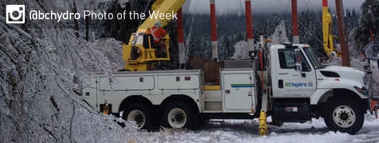 Photo of the Week