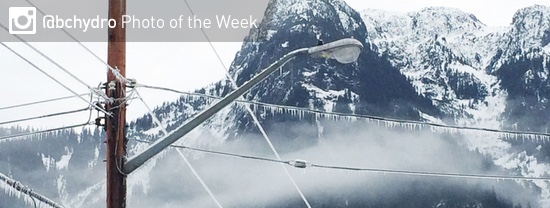 Photo of the Week