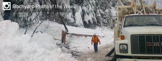 Photo of the Week