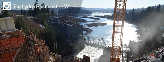 Photo of the Week
