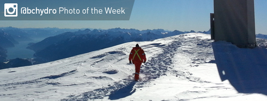 Photo of the Week