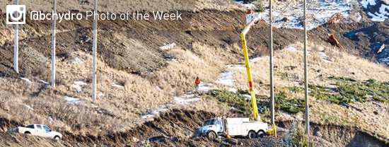 Photo of the Week