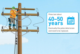 12,000 power poles to be replaced across B.C.