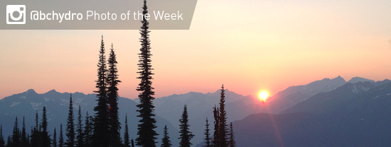 Photo of the Week
