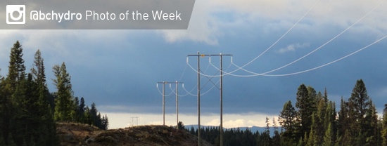 Photo of the Week