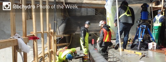 Photo of the Week