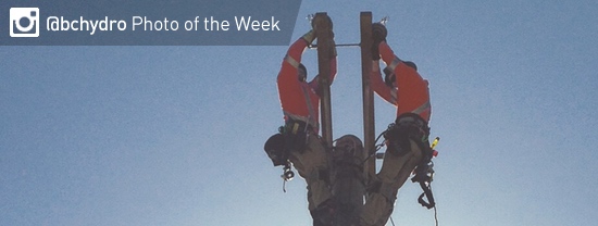 Photo of the Week