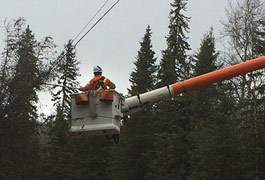 Big wind in northern B.C. as April goes out like a lion